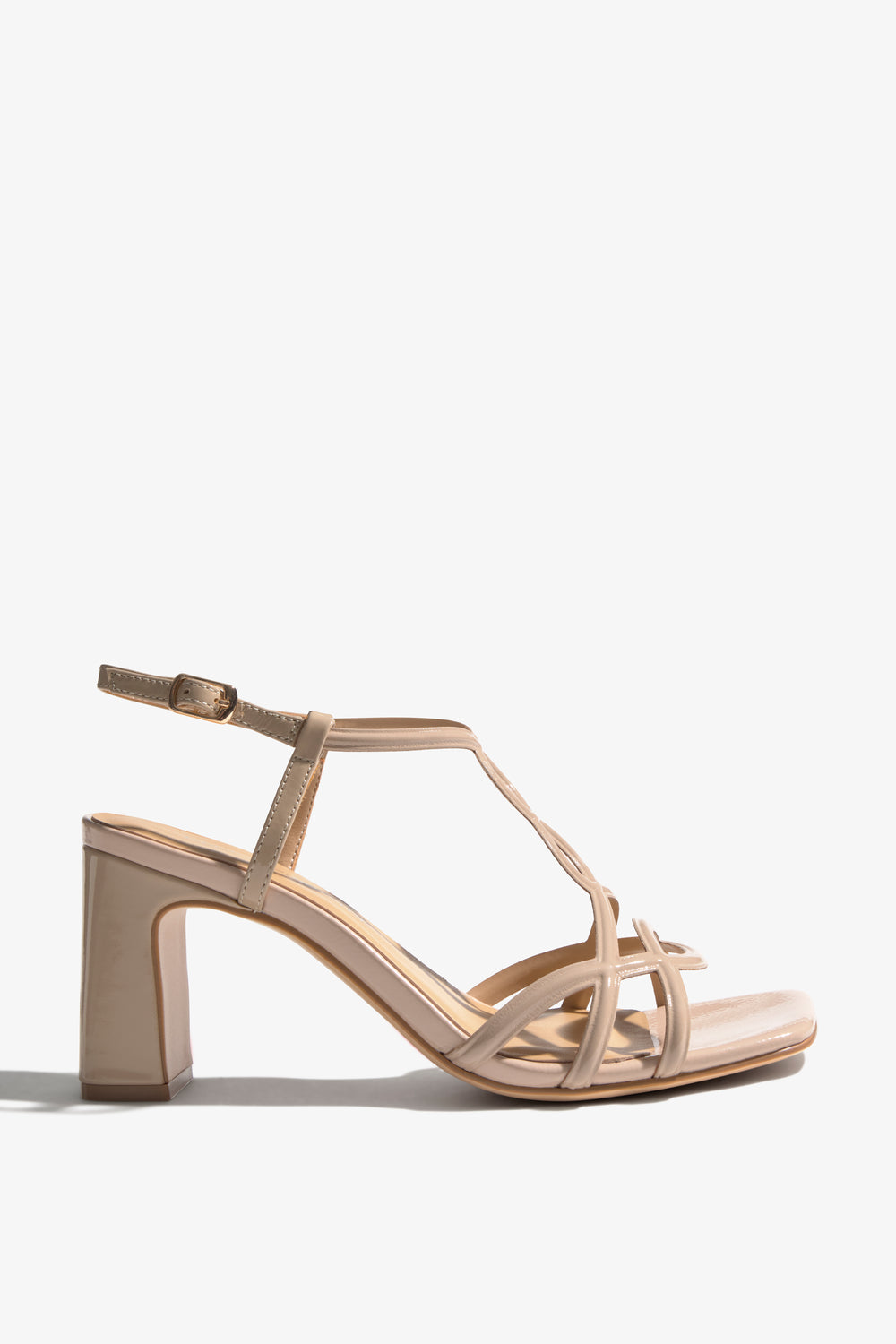 Chelly-01 Camel