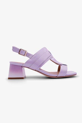 Color lilac