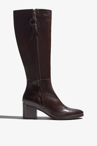 Taylor-16 Castagno